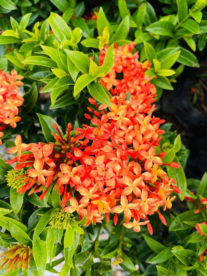 Jardin De Primavera Apartamentos Luaran gambar